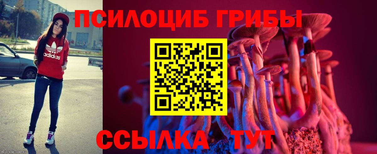 Галлюциногенные грибы Psilocybe  Вход с VPN  Псилоцибиновые грибы Cubensis  Краснознаменск 